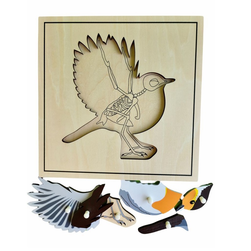 Montessori loomapusle “Lind skeletiga” – puidust pusle loomade õppimiseks