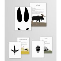 jaljekaardid-1597375331454-kaare-lelula-0