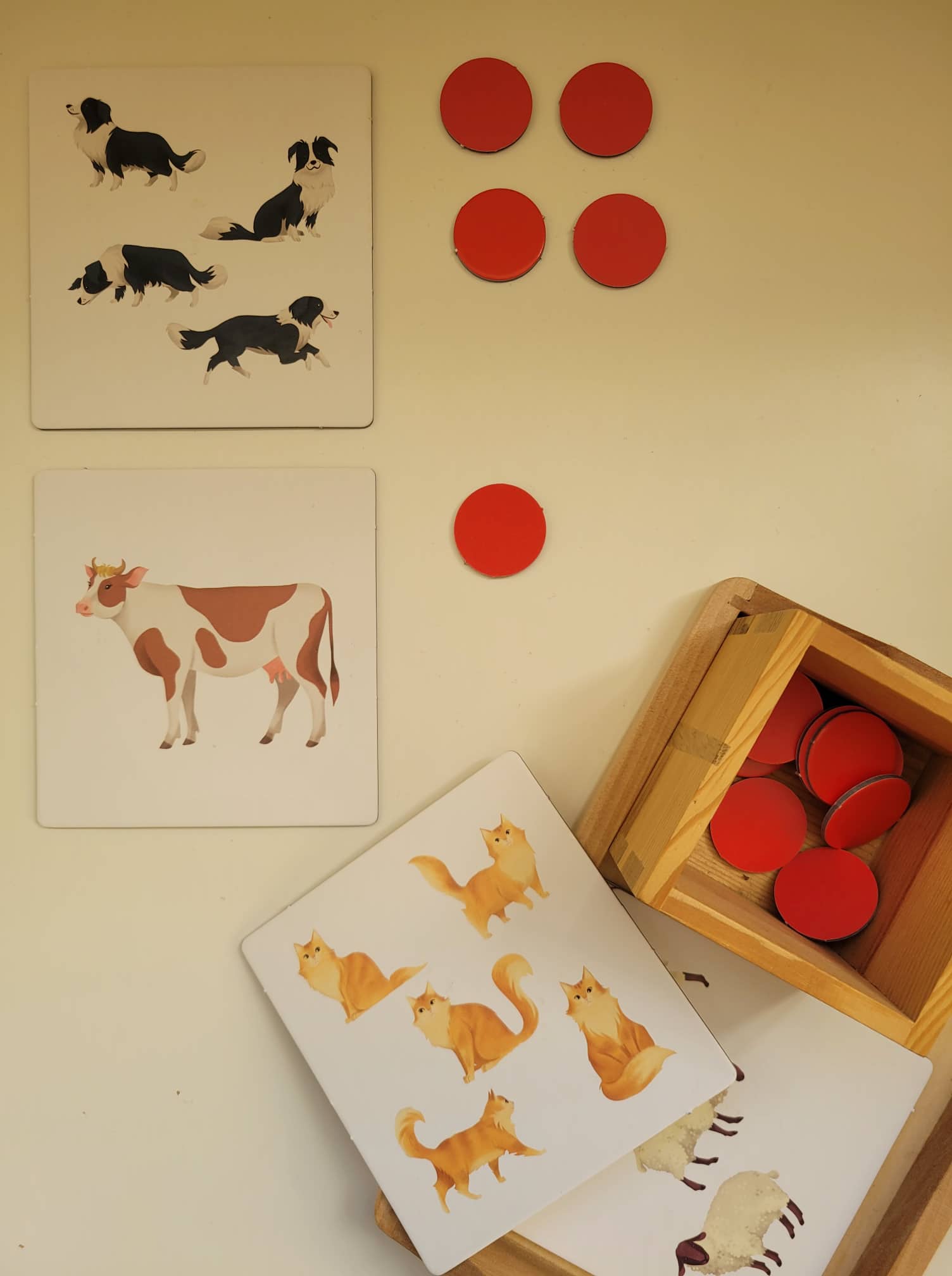 312603819_810114293662294_5569328857536270613_n