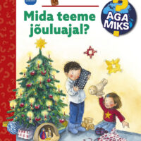 Jõuluteemaline klapiraamat väikelapsele Aga miks