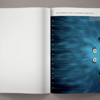 Mudilasvihik_suurvihik_www_NAIDIS_3_large