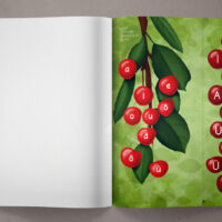 Mudilasvihik_suurvihik_www_NAIDIS_4_large