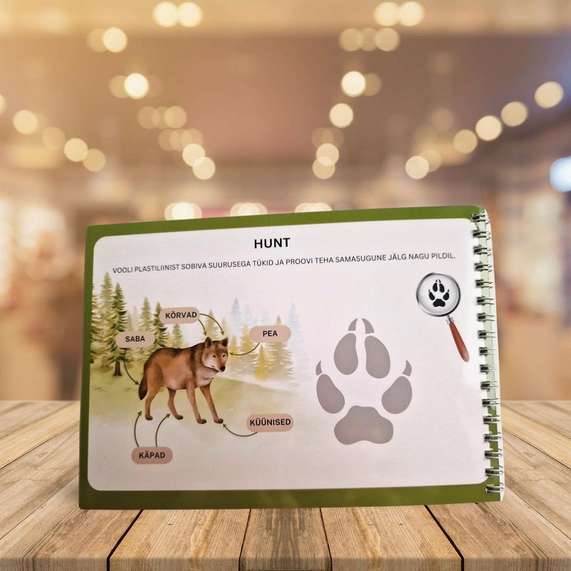 korduvkasutatav plastiliinivihik voolimisvihik meisterdamisvihik plastiliiniga saviga voolimiseks ideed