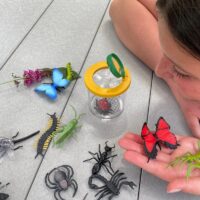 putukatega realistlike loomafiguuride komplekt liblikas kiil mesilane rohutirts