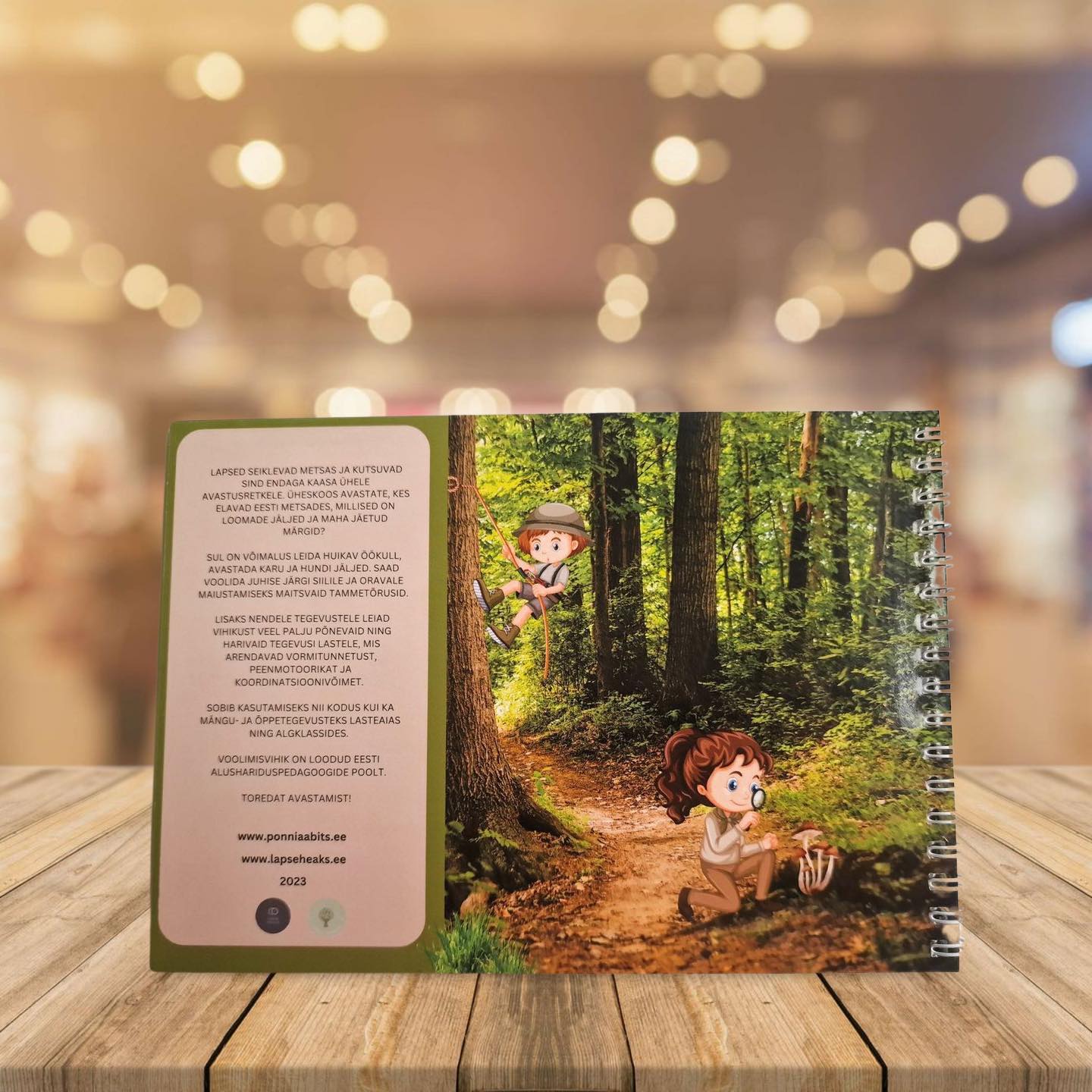 korduvkasutatav plastiliinivihik voolimisvihik meisterdamisvihik plastiliiniga saviga voolimiseks ideed