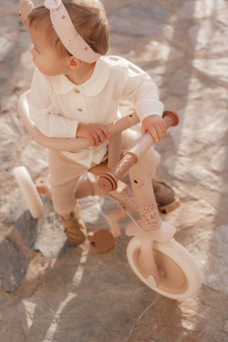 Little Dutch 4-ühes ratas koos lükkesangaga - kolmerattaline, jooksukas, lükkesangaga tõukeratas ja tavaline ratas Little Dutch 4-ühes ratas koos lükkesangaga - kolmerattaline, jooksukas, lükkesangaga tõukeratas ja tavaline ratas