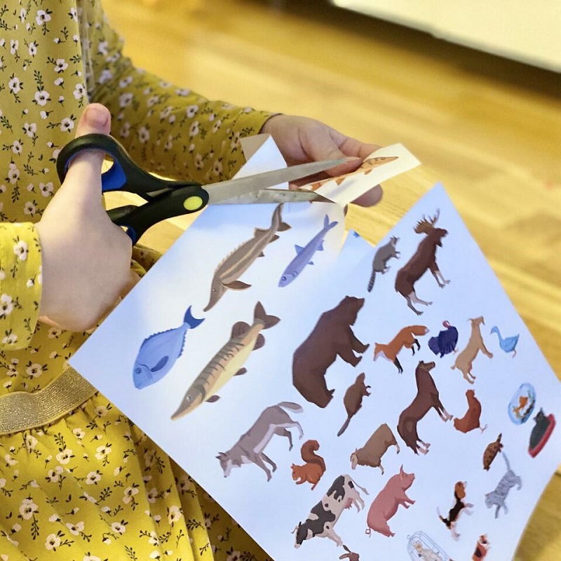 NUPU tasuta tööleht loomade elupaikade tundmaõppimiseks