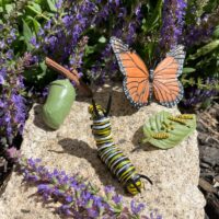 liblika monarh eluring realistlikud loomafiguurid loomakujukesed bioloogia