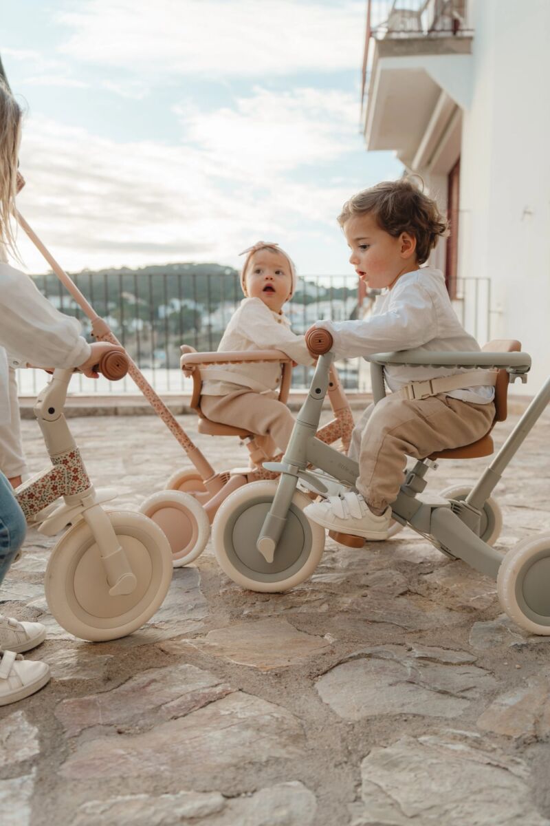 Little Dutch jalgratas 4-ühes lükkesangaga – kolmerattaline ja tasakaaluratas