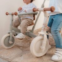 Little Dutch jalgratas 4-ühes lükkesangaga – kolmerattaline ja tasakaaluratas Little Dutch jalgratas 4-ühes lükkesangaga – kolmerattaline ja tasakaaluratas