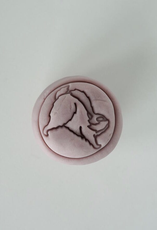 looduslikud palstiliinid voolimismassid kinkekomplekt MICI looduslikud palstiliinid voolimismassid kinkekomplekt MICI