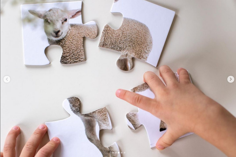 realstilike fotodega loomapusled