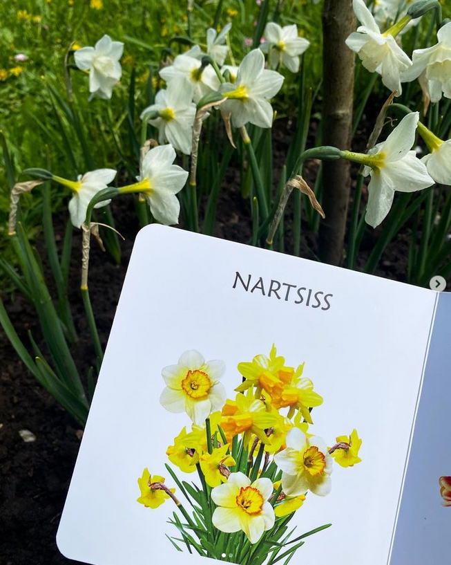 kevadlilledest realistlike fotodega raamat