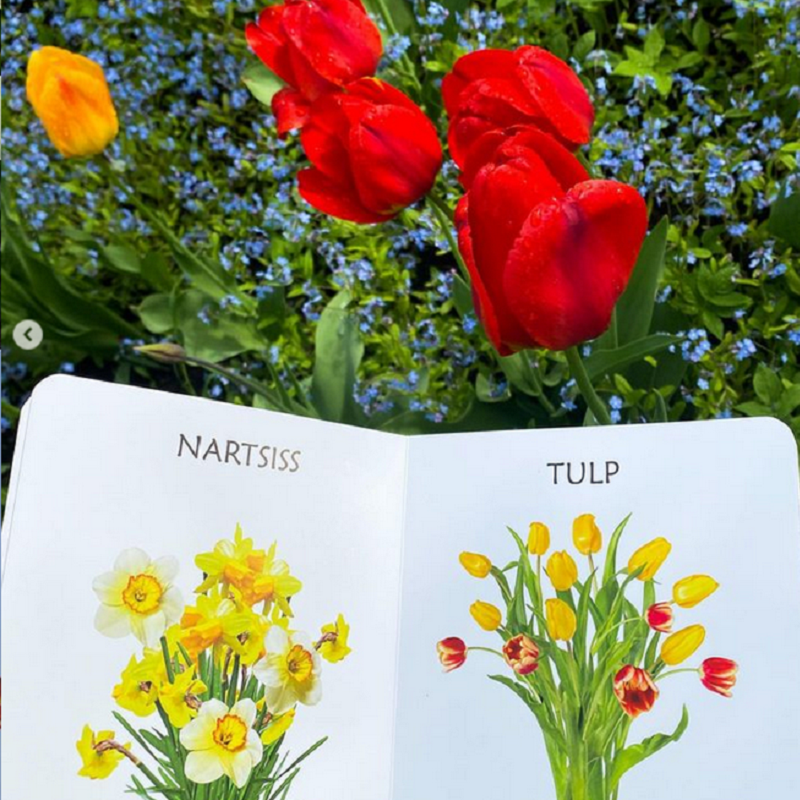 kevadlilledest realistlike fotodega raamat