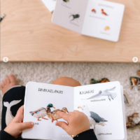 Lindudest realistlik raamat