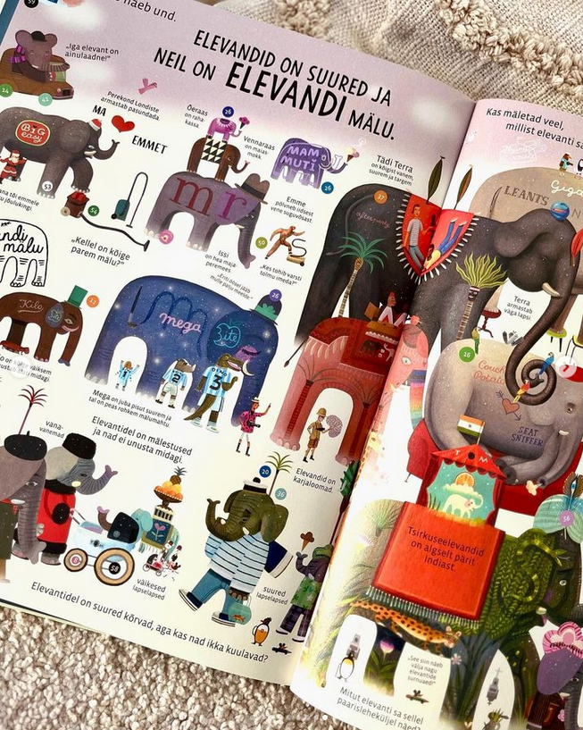kõige vahvam piltsõnaraamat detailirohke raamat lapsele otsi