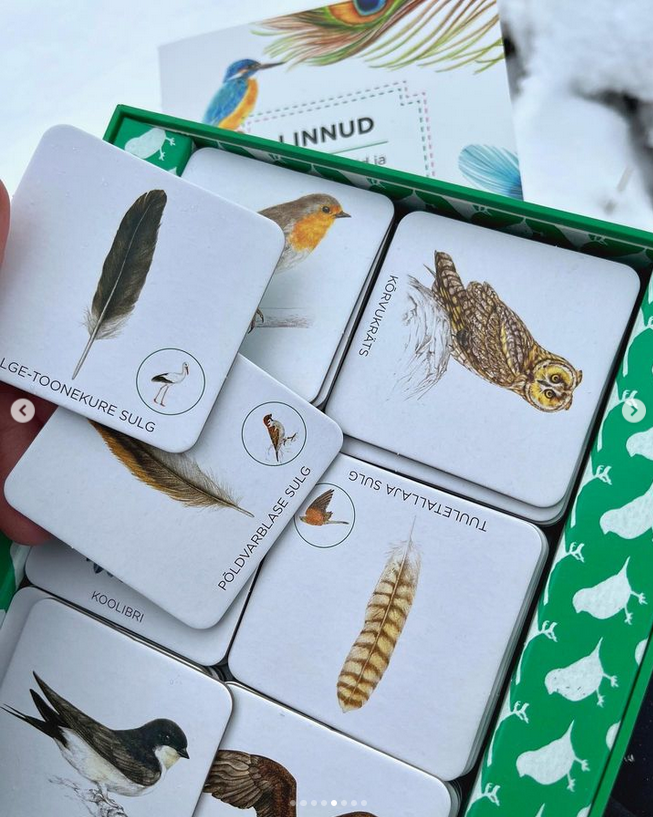 realistlik lindude memoriin lauamäng lastele linnuraamat mis lind on