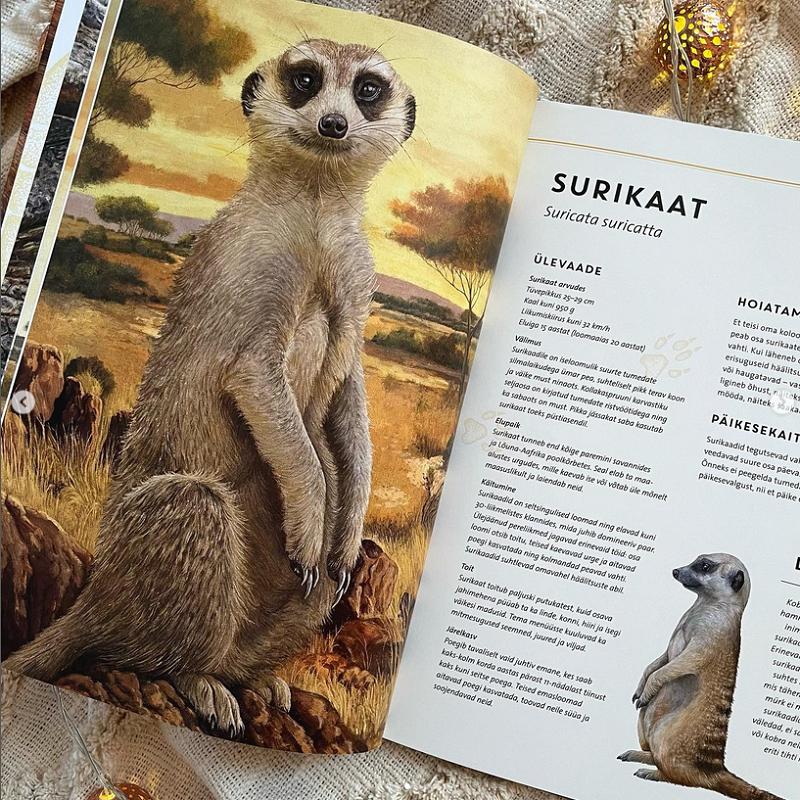 elutruud loomad aafrika realistliku sisuga raamat