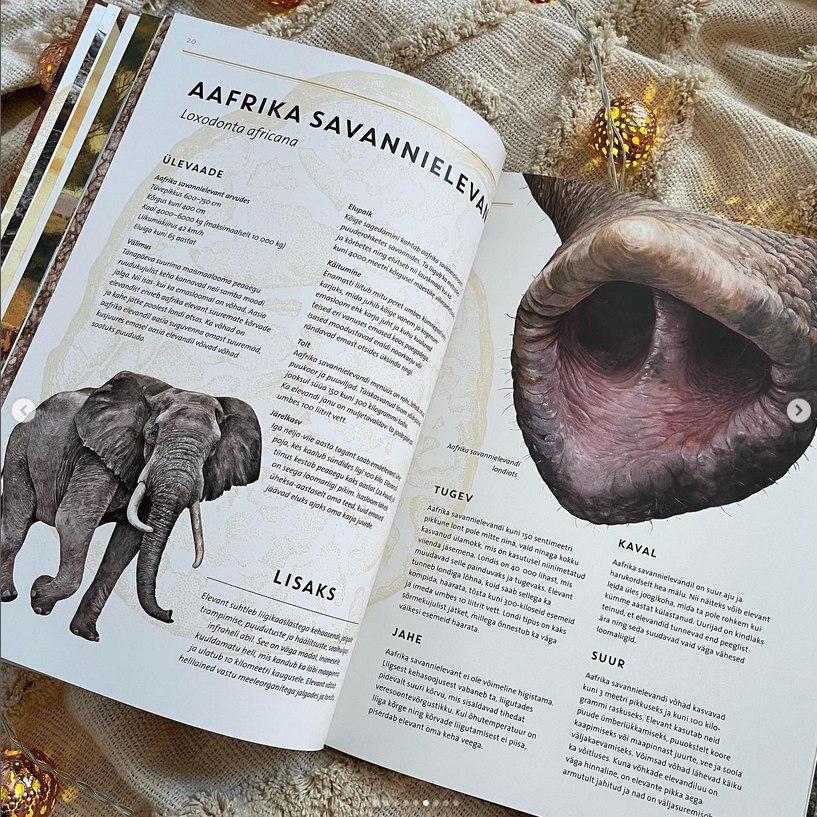 elutruud loomad aafrika realistliku sisuga raamat