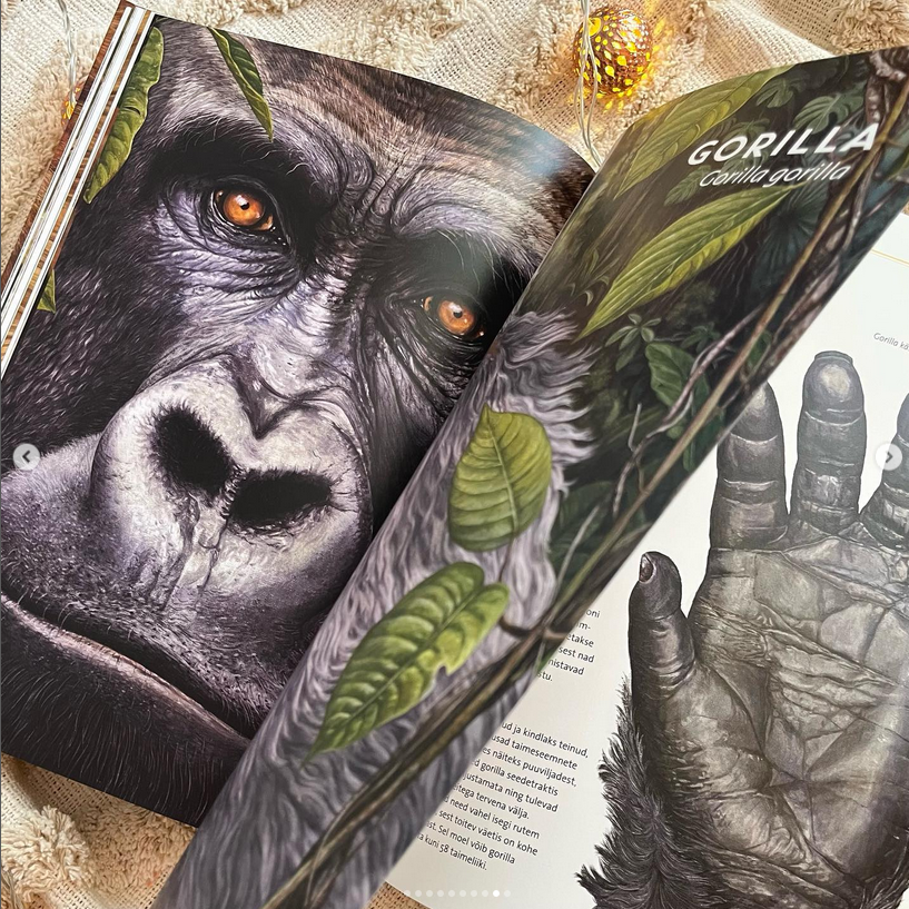 elutruud loomad aafrika realistliku sisuga raamat