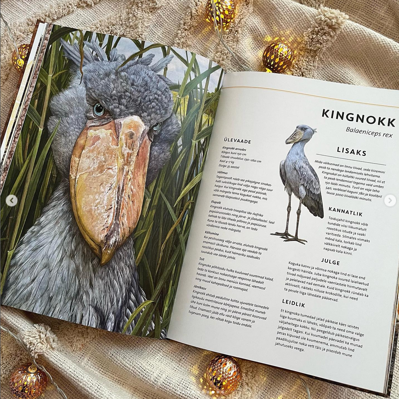 elutruud loomad aafrika realistliku sisuga raamat