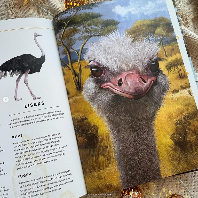 elutruud loomad aafrika realistliku sisuga raamat