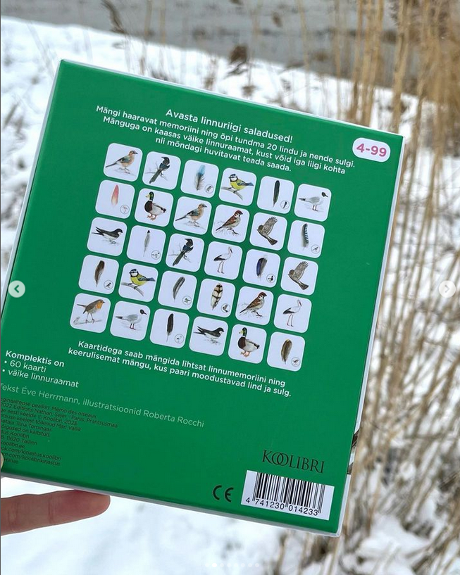 realistlik lindude memoriin lauamäng lastele linnuraamat mis lind on