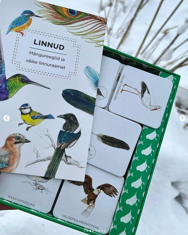 realistlik lindude memoriin lauamäng lastele linnuraamat mis lind on