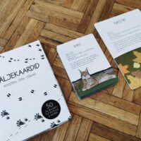 Processed with VSCO with a6 preset