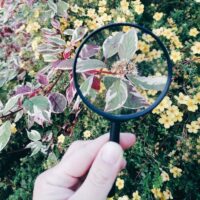 Luup suurendusklaas lastele