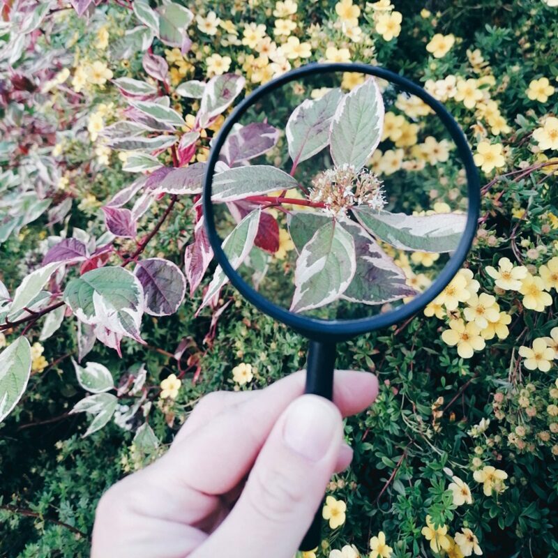 Luup suurendusklaas lastele