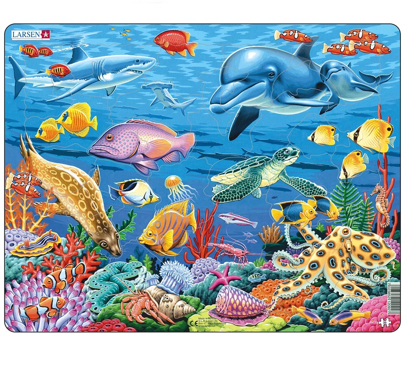 Veealuse maailmaga realistlik pusle