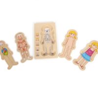 Anatoomiline pusle tüdruk1