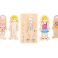 Anatoomiline pusle tüdrukust