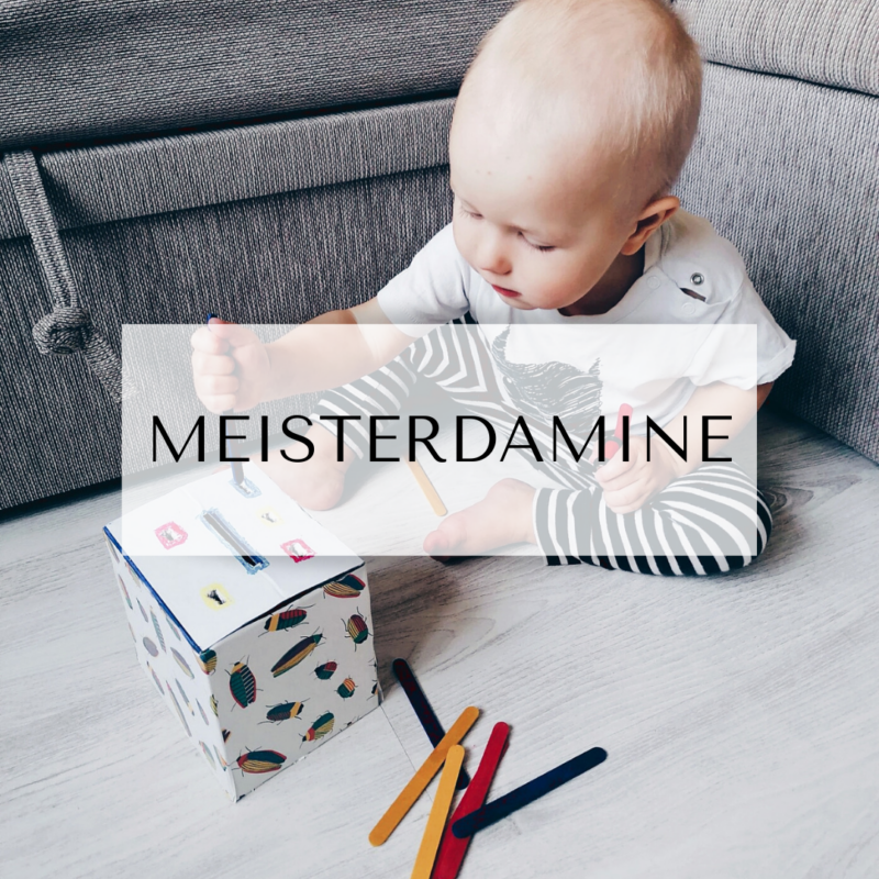 MEISTERDAMINE