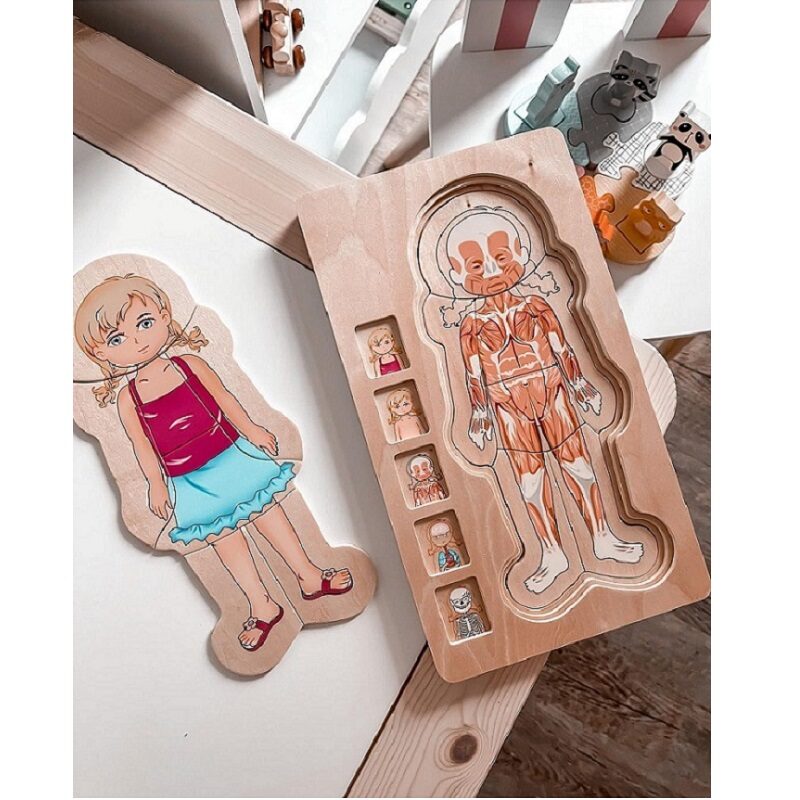 Anatoomiline pusle tüdrukust