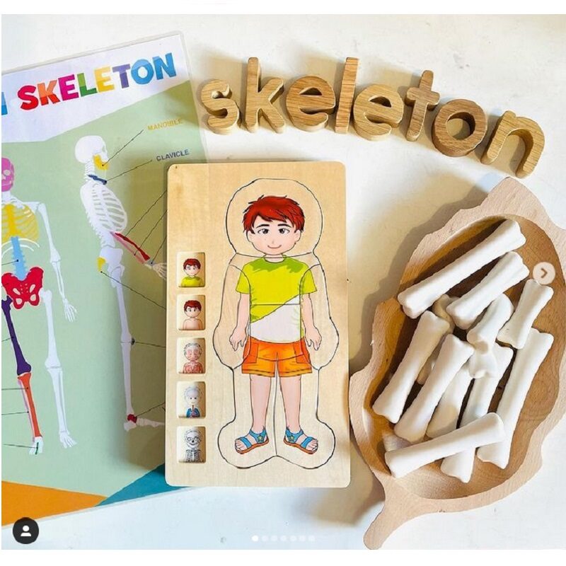 Poisist anatoomiline pusle