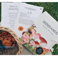 Seenekaardid Huvilooja õppevahend