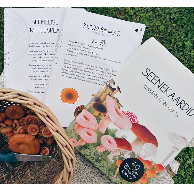 Seenekaardid Huvilooja õppevahend