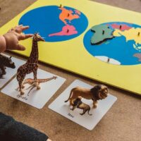 Puidust puslekaart maailmajaod – Montessori õppevahend lastele