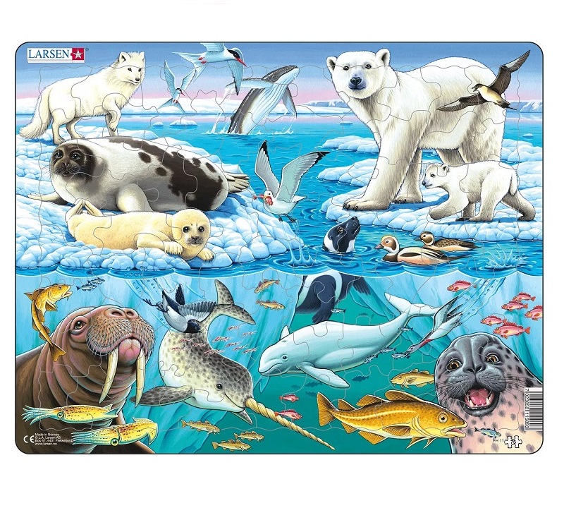 Realistlik pusle Arktikast