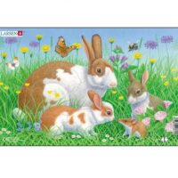 Pruunid jänesed – midi