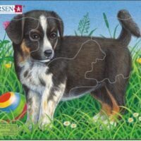 must kutsikas – M13