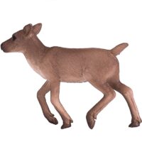 põdra vasikas 1 387188