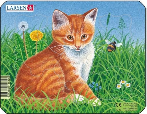 Punase kassipojaga realistlik pusle