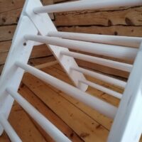 aviary-image-1637702133265