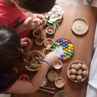 15-107 puidust kausid Grapat puidust kuulid