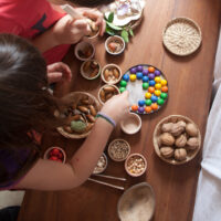 Art 15-106_MG_0363 Joguines Grapat