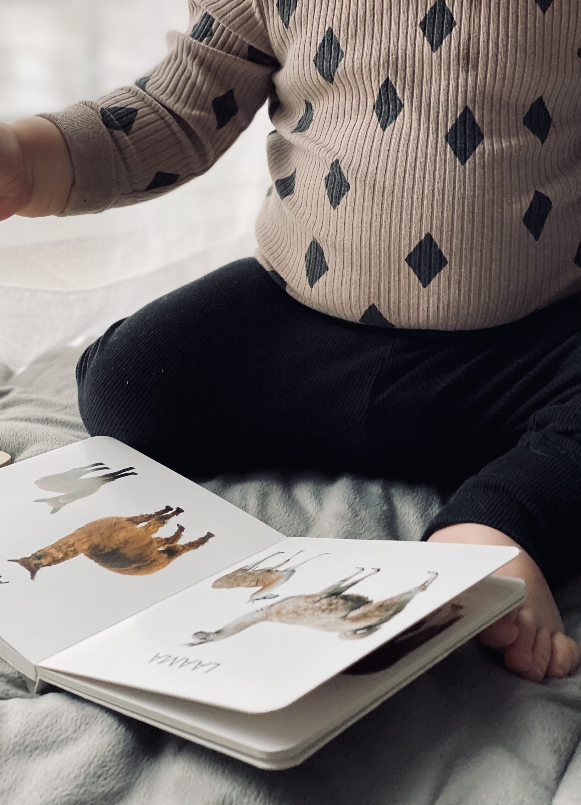 Realistlike fotodega raamat