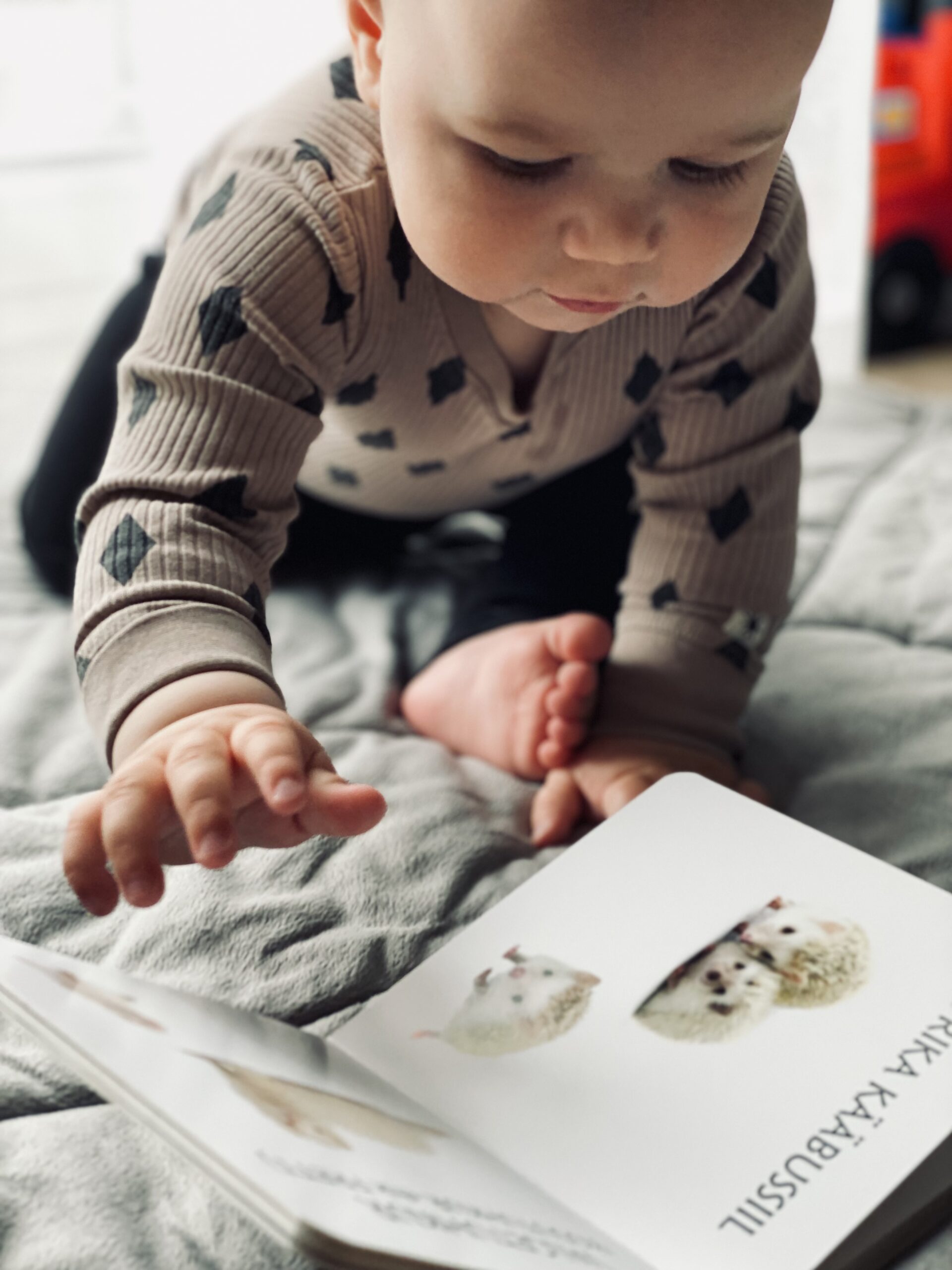 Realistlike fotodega raamat